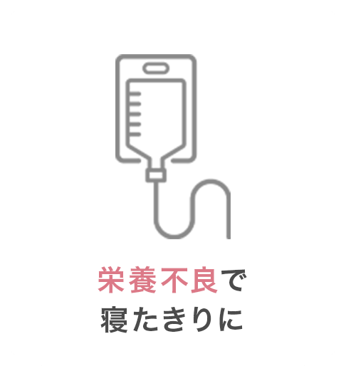 栄養不良で寝たきりに